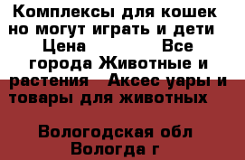 Комплексы для кошек, но могут играть и дети › Цена ­ 11 900 - Все города Животные и растения » Аксесcуары и товары для животных   . Вологодская обл.,Вологда г.